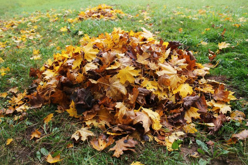 Mulched Leaves