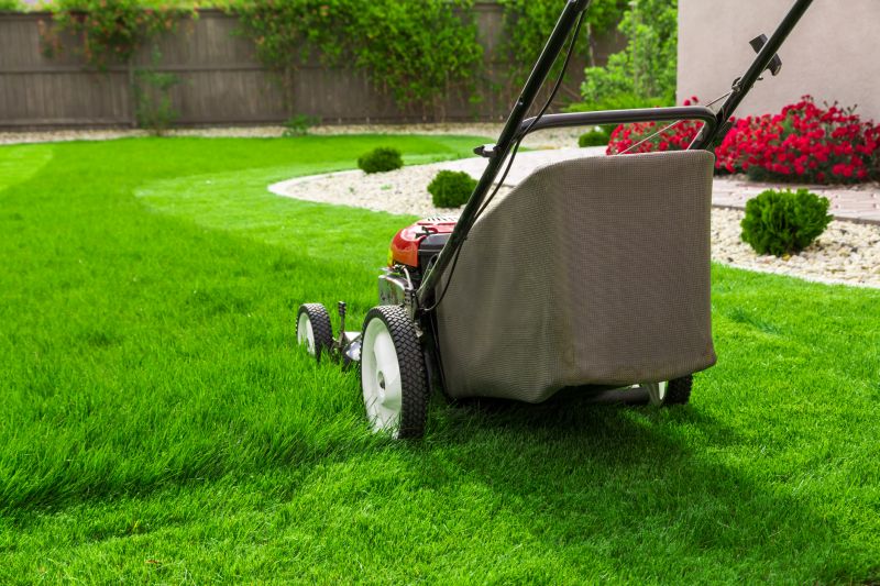 Clean Lawn Surface