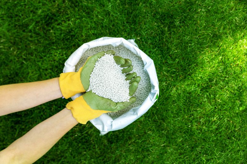 Lawn Treatment Process