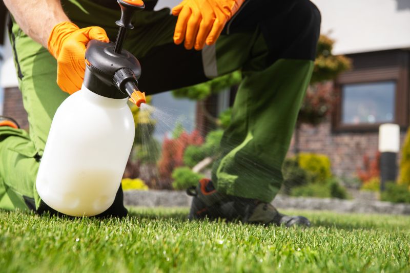 Lawn Weed Treatment Service