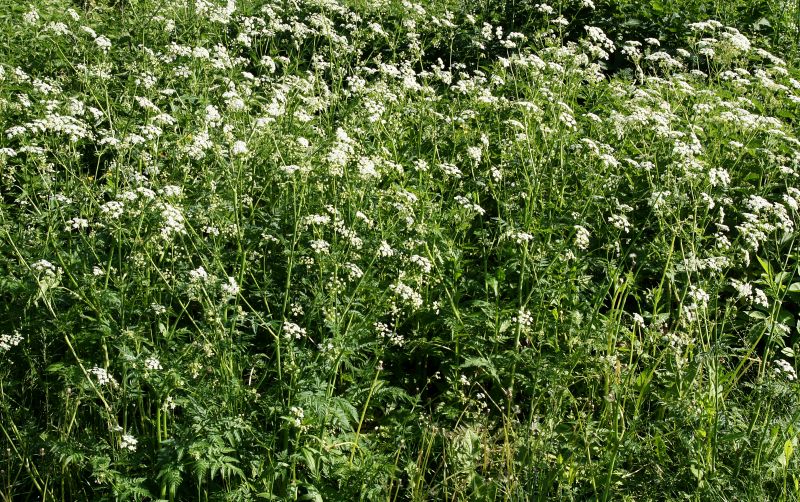 Budget-Smart Upgrades